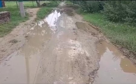 शाहजहाँपुर न्यूज़: जलालाबाद क्षेत्र के दुमकापुर से पल्हरई जाने बाली सड़क गड्ढों में तब्दील। 