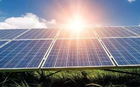 सोलर पार्क से रोशन हो रहा यूपी, सौर ऊर्जा परियोजनाओं को रफ्तार दे रहे सीएम योगी 