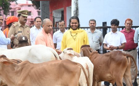 गोरखनाथ मंदिर की गोशाला में सीएम योगी आदित्यनाथ ने की गोसेवा, बच्चों पर खूब लुटाया प्यार, आशीर्वाद के साथ दी चॉकलेट।