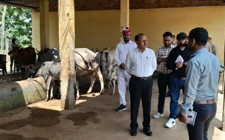 पीलीभीत आईएनए न्यूज़: जिलाधिकारी ने  गौशाला का किया औचक निरीक्षण। 