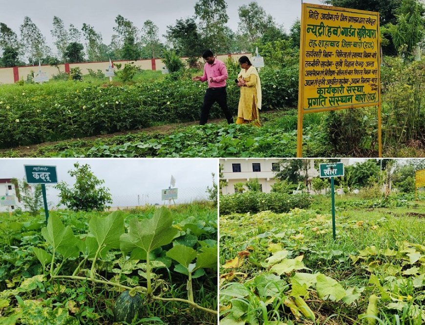 राजस्थान न्यूज़: खुशियारा के न्यूट्री गार्डन ने बांटी खुशियों की सौगात, कुपोषण के कारण सुर्खियों में रहा राजस्थान का बारां। 