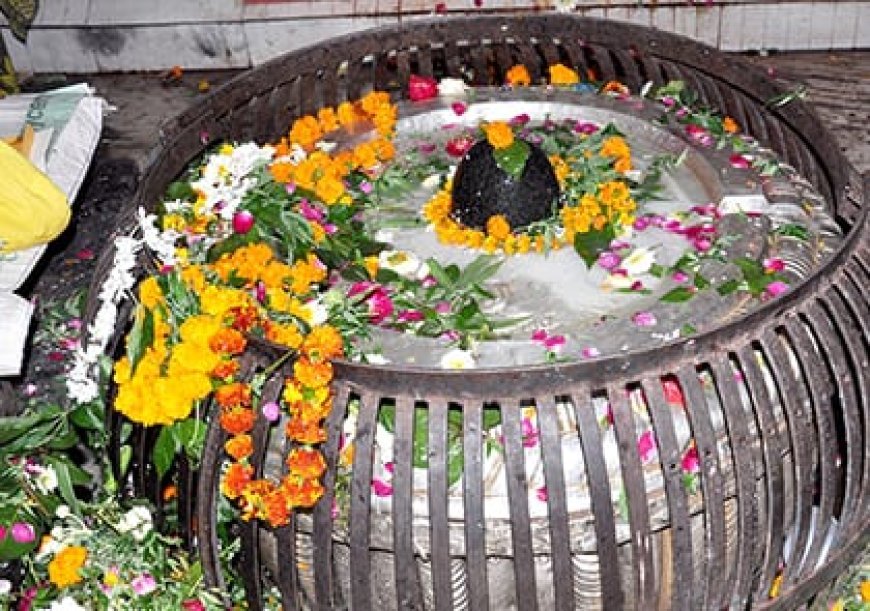 अयोध्या। सावन के चौथे सोमवार पर रामनगरी मे उमड़ा आस्था का सैलाब, श्रद्धालु कर रहे हैं नागेश्वर नाथ मंदिर में जलाभिषेक। 