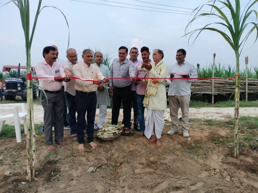 शाहजहांपुर न्यूज़: जिला गन्ना अधिकारी ने किया मानसून गन्ना बुवाई का शुभारंभ। 