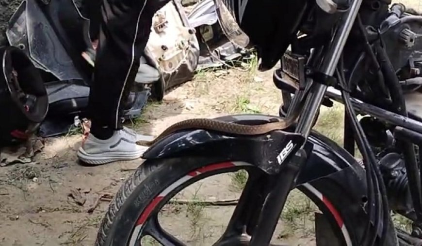 बलिया आईएनए न्यूज़: पुलिस भर्ती परीक्षा दिलाने आए युवक की बाइक में घुसा सांप, देखने वालों की लगी भीड़।