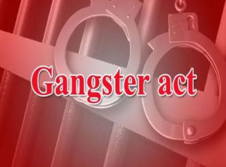 हरदोई: गैंगेस्टर एक्ट में आरोपी को 2 वर्ष की सजा