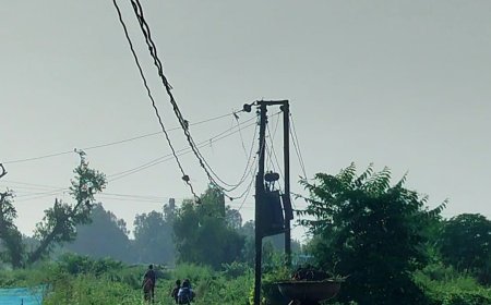 हरदोई: ओवर लोड से फूंका पचकोहरा गांव का विद्युत ट्रांसफार्मर