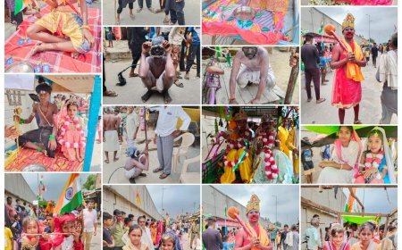 हरदोई: सुन्नी ग्राम सभा में जन्माष्टमी के बाद आज निकाली गई श्रीकृष्ण की भव्य झांकी