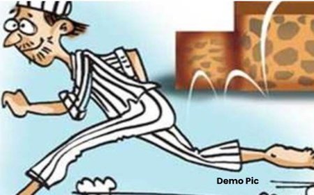 हरदोई: जिला कारागार में बंद कैदी फरार, पुलिस महकमे में मचा हड़कंप