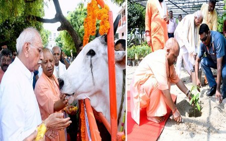 अयोध्या धाम में सीएम योगी ने की गौसेवा, पौधरोपण से दिया पर्यावरण संरक्षण का संदेश।