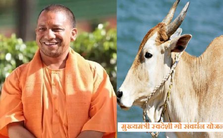 Hardoi Ina News: जनपद के किसानों को भी मिलेगा मुख्यमंत्री स्वदेशी गो संवर्धन योजना का लाभ। 