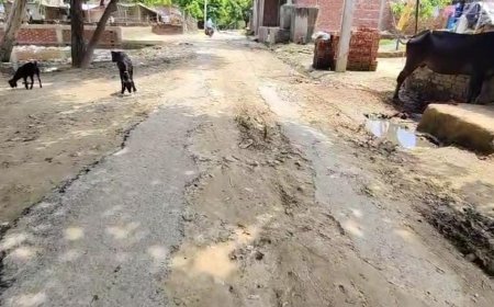 Hardoi: सड़क-निर्माण राजनीति की भेंट चढ़े कई गांव, चौखट तक पहुंचते ही दम तोड़तीं सरकारी योजनाएं