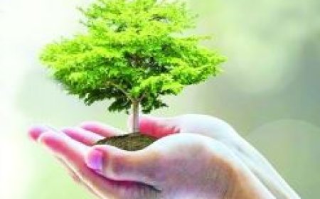 Varanasi: पर्यावरण संरक्षण के साथ ही अब अपनी आय बढ़ने पर भी काम कर रही ग्राम पंचायतें