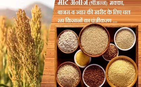 Lucknow News: पहली अक्टूबर से शुरू होगी 'मोटे अनाज' की खरीद।