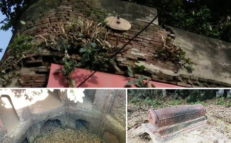 Sambhal News: प्रशासन की अनदेखी से धराशाई हुई ऐतिहासिक इमारत, तोता मैना की कब्र और बाबली के कुंए की भी खस्ता हालत। 