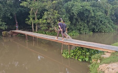 Hardoi: टीन के पुल के सहारे कट रहा जिंदगी का सफर, 40 साल से दुर्दशा झेल रहे 35 गांव