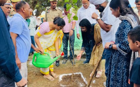 Amroha: डीएम निधि गुप्ता वत्स ने खुद झाड़ू लगाकर दिया स्वच्छता सेवा पखवाड़े का सन्देश, जागरूक बाइक रैली को हरी झंडी दिखाकर किया रवाना 