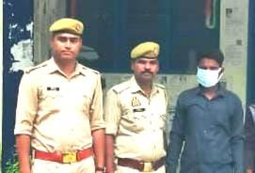 Hardoi: 2 भैंसों की चोरी मामले में पुलिस ने पकड़ा