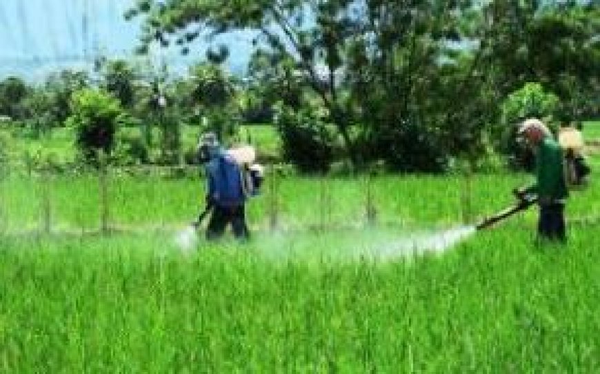 Hardoi: कीटनाशक दवायें क्रय करने पर रसीद जरूर दें- जि. कृषि अ. विनीत कुमार