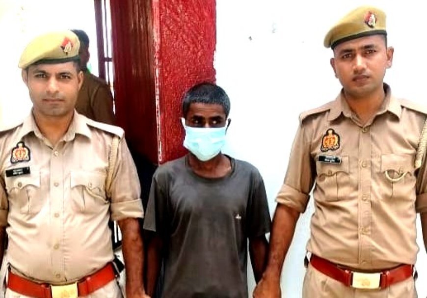 Hardoi : देवर ने लगा दी आग, महिला व बच्ची की मौत