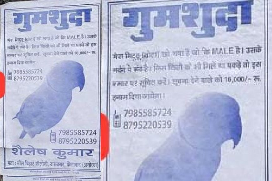 Ayodhya News: अजब गजब मामला- एक पक्षी प्रेमी ने मिट्ठू खोने पर 10 हजार का इनाम। 