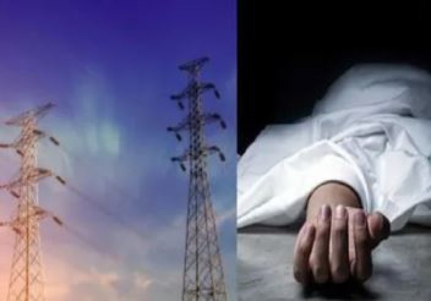 Hardoi: हाईटेंशन लाइन की चपेट में आने से हुई मौत, ग्रामीणों ने विद्युत विभाग पर लगाया आरोप