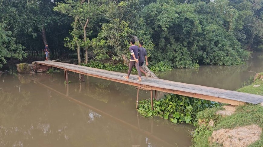 Hardoi: टीन के पुल के सहारे कट रहा जिंदगी का सफर, 40 साल से दुर्दशा झेल रहे 35 गांव