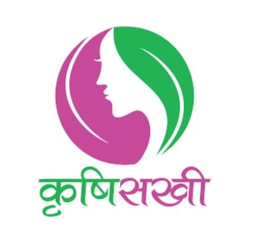 कृषि सखियों के माध्यम से महिलाओं को सशक्त बना रही योगी सरकार, प्रदेश भर में अबतक 7634 कृषि सखियां प्रशिक्षित