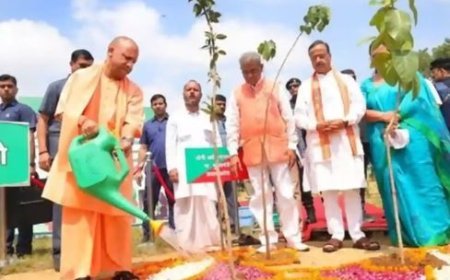 पेड़ लगाओ, पेड़ बचाओ जनअभियान-2024: 36.51 करोड़ पौधरोपण से काफी आगे निकली योगी सरकार