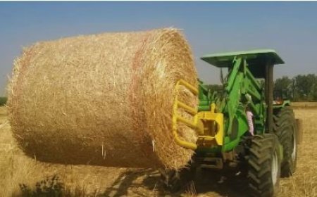 सीएम योगी का का आदेश- फसल कटाई के दौरान राजस्व कर्मियों की कहीं और नहीं लगाई जाएगी ड्यूटी