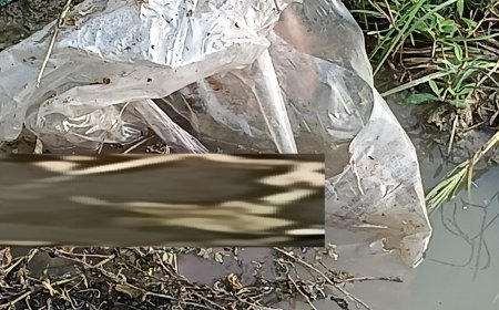 Hardoi: देवांश हास्पिटल के पीछे नवजात शिशु का शव  मिलने से मचा हड़कम्प