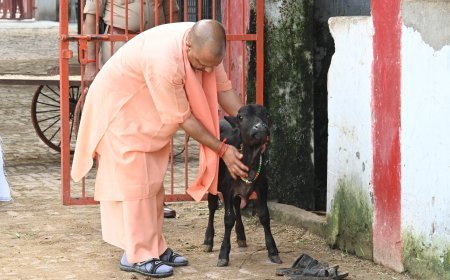 हॉस्पिटल में भर्ती कराकर इस्टीमेट मंगाइए, इलाज का खर्च सरकार देगी : मुख्यमंत्री