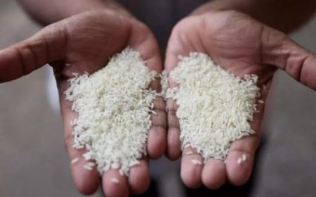 Hardoi: चावल का निःशुल्क वितरण 05 अक्टूबर से 25 अक्टूबर 2024 के बीच होगा- जिला पूर्ति अधिकारी