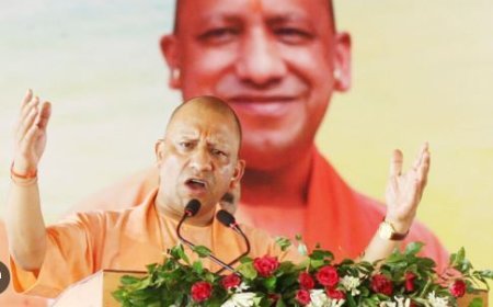 Yogi govt allocates Rs 74 crore to make cow herders self-reliant