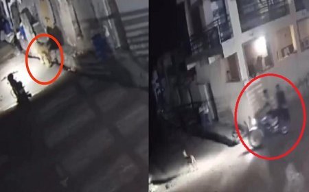 Viral News: बाइक से जा रहे थे दो लड़के तभी दिखा कुछ ऐसा, जान बचा कर भागना पड़ा, कैमरे में कैद घटना...