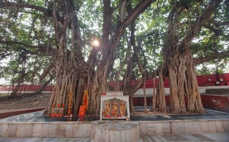 Maha Kumbh 2025: Yogi government accelerates beautification of Akshayvat Corridor*