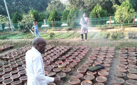 महाकुम्भ -2025: शहर के 6 प्रमुख पार्कों का उद्यान विभाग ने शुरू किया सौंदर्यीकरण