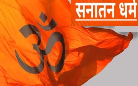 विशेष : समन्वय का पर्याय ही सनातन संस्कृति है।