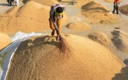 Hardoi: मंडी में हो रहा नकद भुगतान, फिर क्रय केंद्रों पर धान बेचने क्यों जाएं किसान, वहां पसरा सन्नाटा