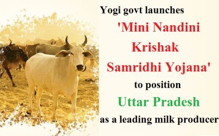 Yogi govt launches 'Mini Nandini Krishak Samridhi Yojana' to position Uttar Pradesh as a leading milk producer