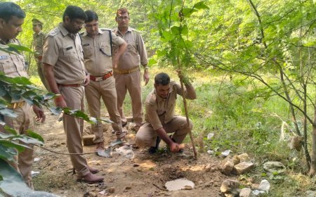 Hardoi News: 135 लीटर अवैध कच्ची शराब तथा लगभग 750 किलोग्राम लहन बरामद, अभियोग पंजीकृत