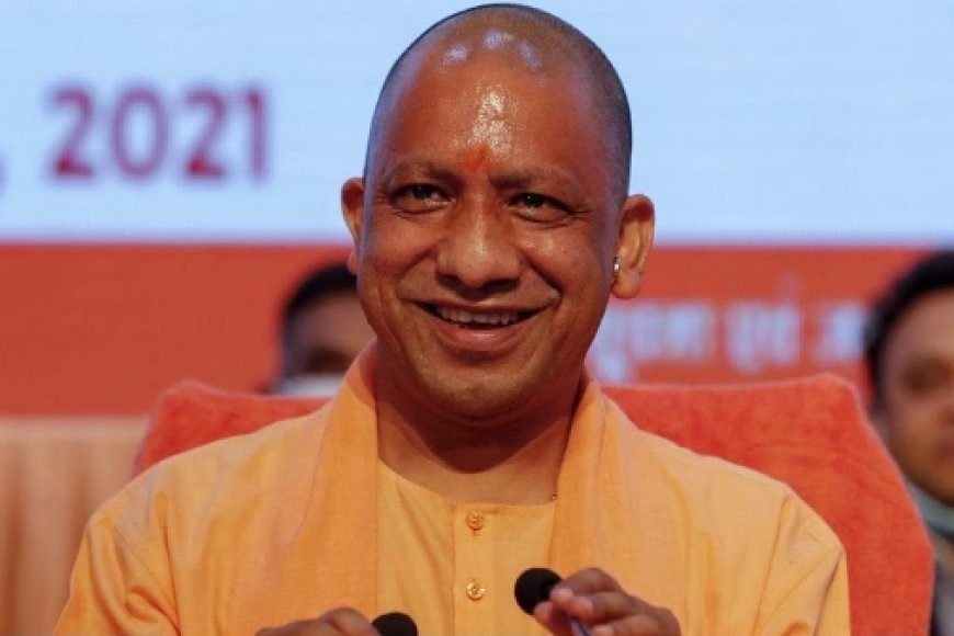 International Tiger Day: योगी सरकार के प्रयासों से यूपी में बढ़ रहा बाघों का कुनबा, संरक्षण मॉडल की देशभर में सराहना
