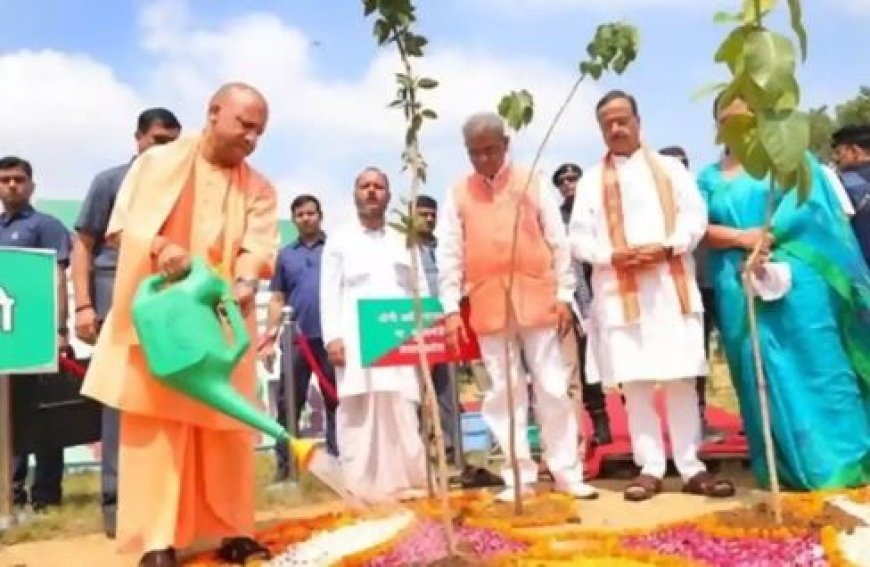 पेड़ लगाओ, पेड़ बचाओ जनअभियान-2024: 36.51 करोड़ पौधरोपण से काफी आगे निकली योगी सरकार