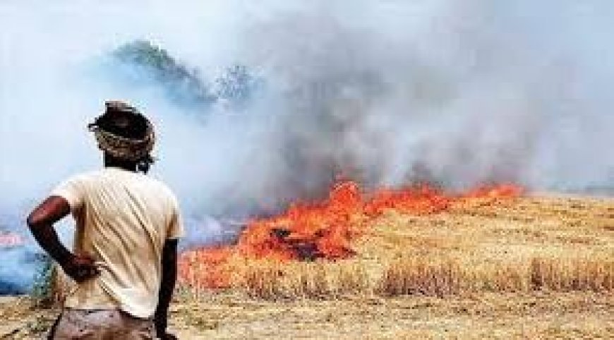 योगी सरकार में "वेस्ट से वेल्थ" बन रही है पराली, प्लांट से निकलने वाली बेहतरीन कंपोस्ट खाद का लाभ बोनस