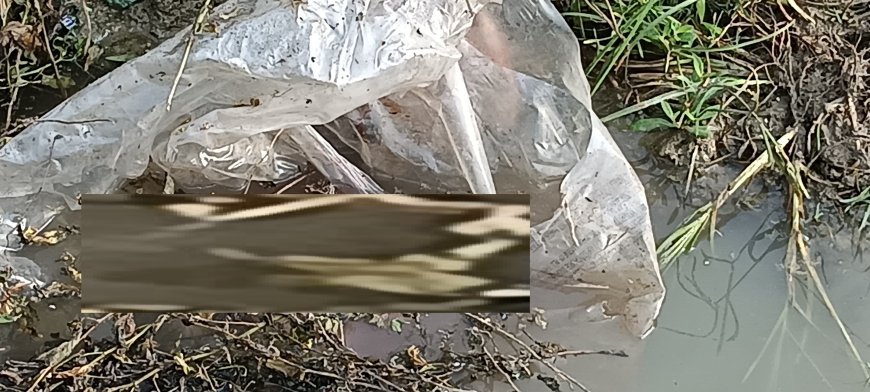 Hardoi: देवांश हास्पिटल के पीछे नवजात शिशु का शव  मिलने से मचा हड़कम्प