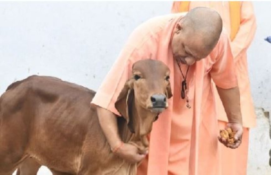 74 करोड़ से प्रदेश के गौ पालकों को स्वावलंबी बनाएगी योगी सरकार