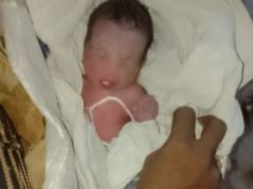 Hardoi: झाड़ियों में पड़ी मिली नवजात बच्ची, हालत गंभीर होने पर रेफर