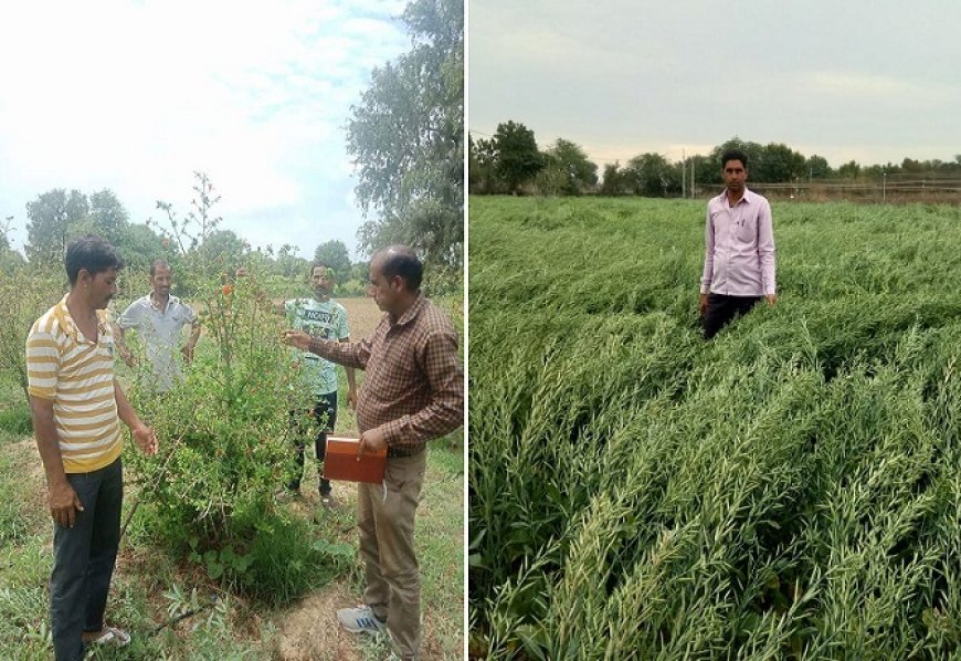 विशेष लेख : गांवों और किसानों की 'आत्मनिर्भरता' ही होगी भारत के 'नवसृजन' की नींव 