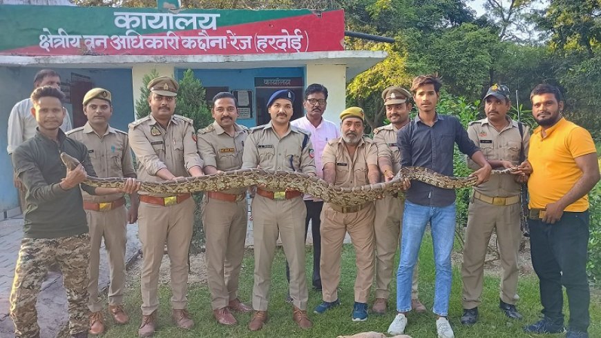 Hardoi News: गांव में मिले 2 विशाल अजगर सांप, वन विभाग की टीम ने किया रेस्क्यू। 