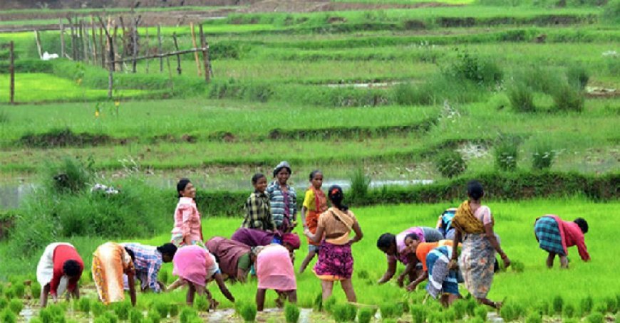 Agriculture News: कृषिगत महिलाओं के सशक्तिकरण हेतु रोजगारोन्मुखी परिकल्पनाएं।