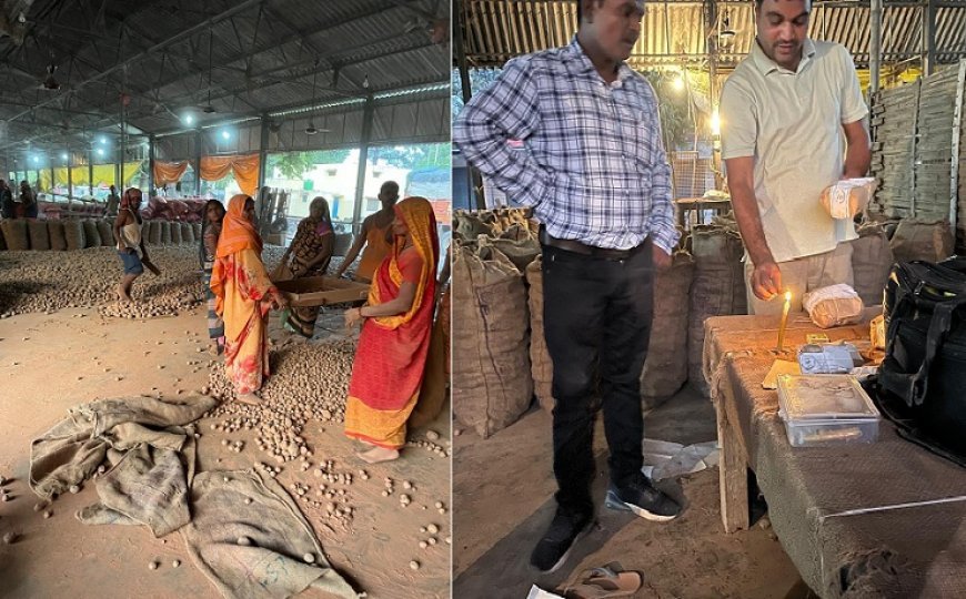 Ballia News: कृषि मंडी से रंगा हुआ 21 कुन्तल लाल आलू खाद्य सुरक्षा विभाग ने  किया सीज। 